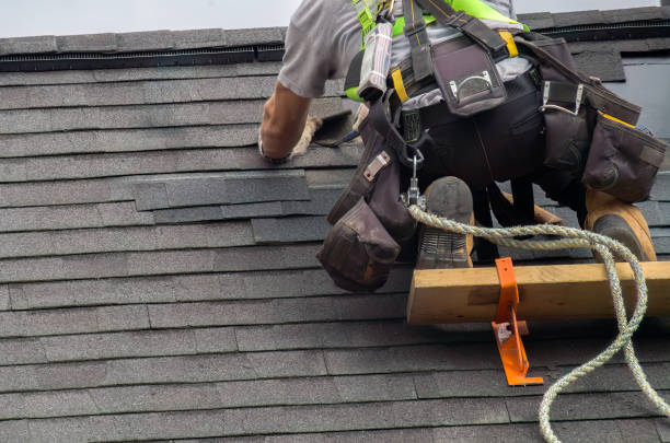 Best Chimney Flashing Repair  in Linden, AL