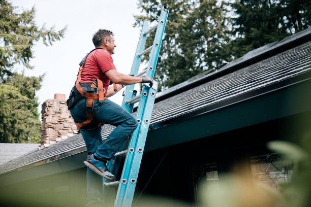Best Skylight Installation and Repair  in Linden, AL